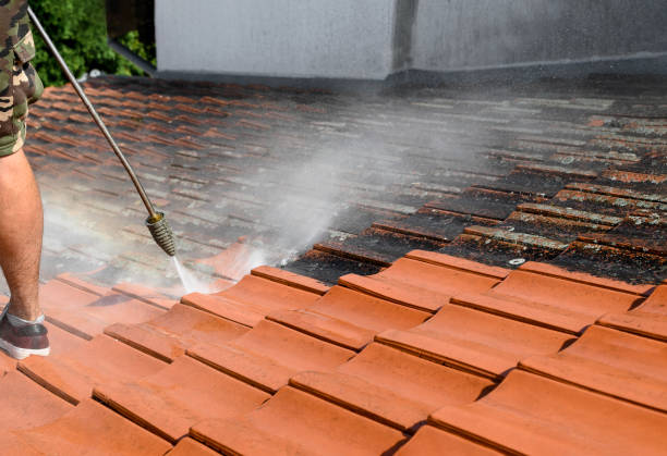 Best House Pressure Washing  in Springmont, PA