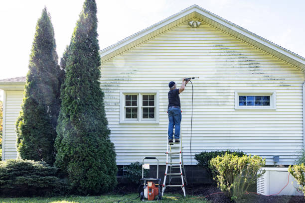 Best Deck Cleaning Services  in Springmont, PA